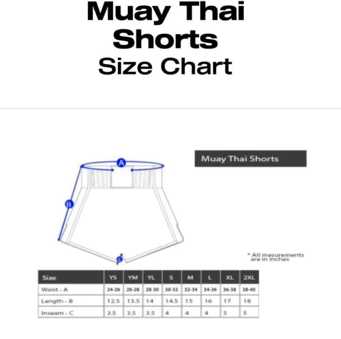 * NEW Team Nostos Muay Thai Thai Shorts