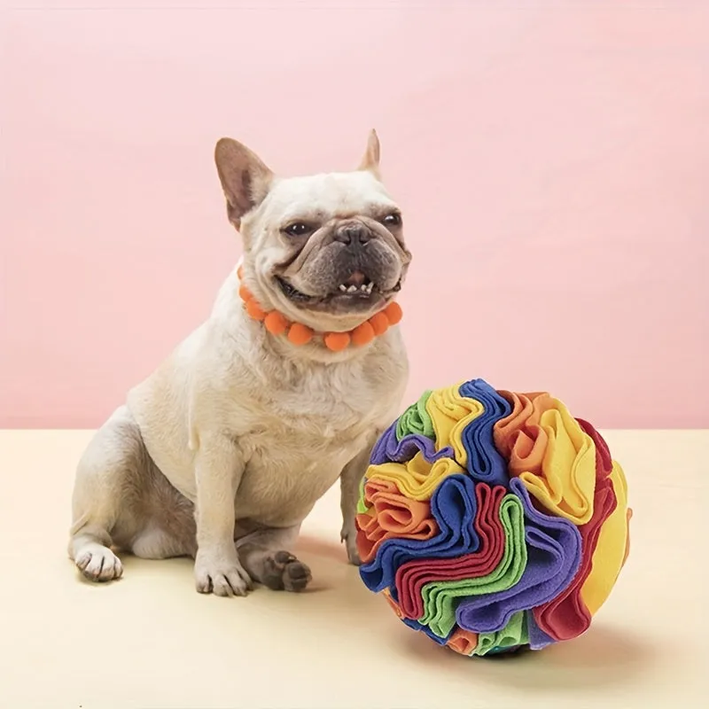 Interactive Snuffle Ball Boost Foraging Reduced Stress Mental Stimulation