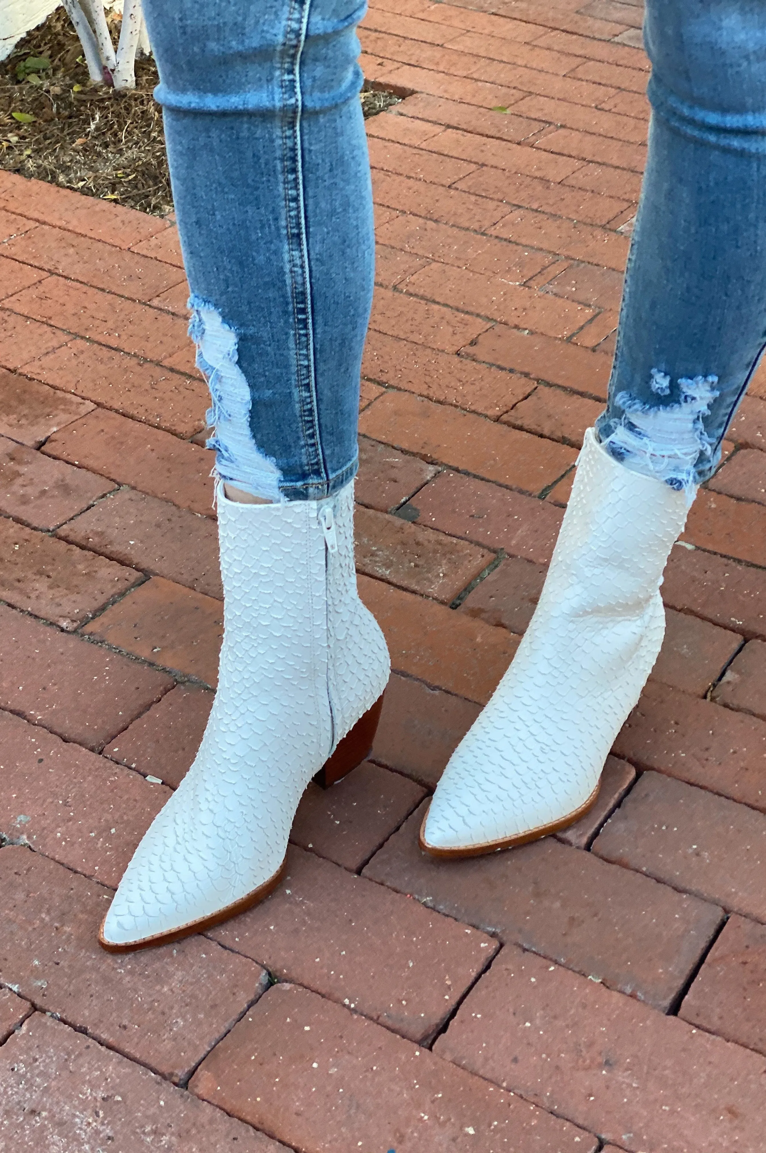 Matisse Caty White Snake Booties
